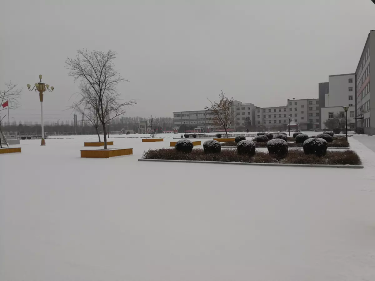 欢迎登录辽宁工贸学校云学院